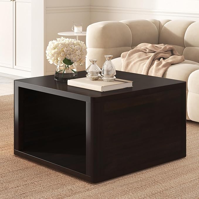 Harper & Bright Designs Square Coffee Table for Living Room in Dark Brown Farmhouse Coffee Table with Storage,2-Tier Center Table with Half Open Storage Compartment in 30.8"