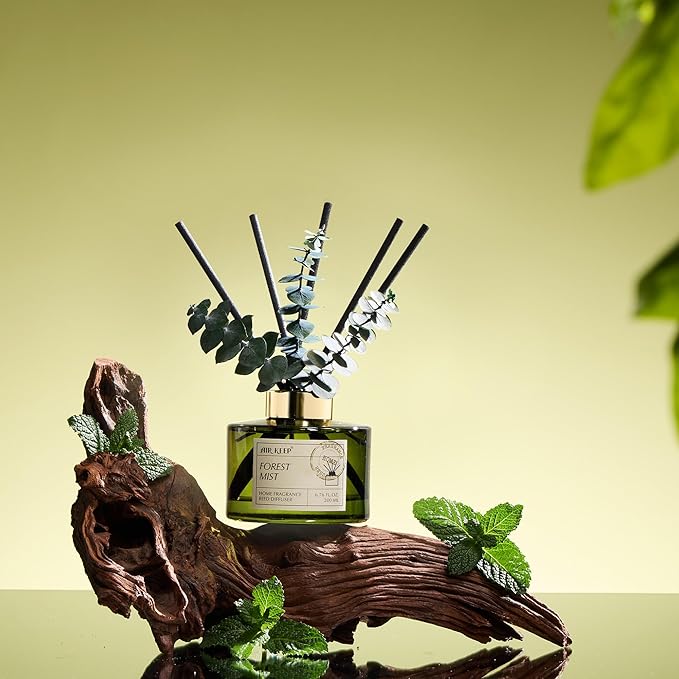 Airkeep Reed Diffuser Set with 6.76 fl oz Forest Mist Scent Essential Oils and 3 Leaves & 8 Diffuser Sticks,Bathroom Shelf Decor & Air Freshener, House Bedroom Office Decor & Gifts