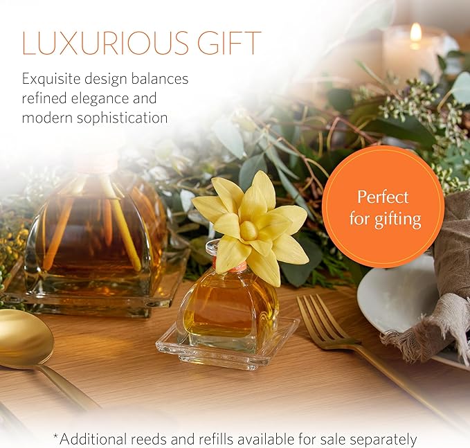 AGRARIA PetiteEssence Flower and Reed Diffuser Set, Hand Crafted Sola Flower Botanical Home Fragrance Set, Scented Oil Gift for All Occasions