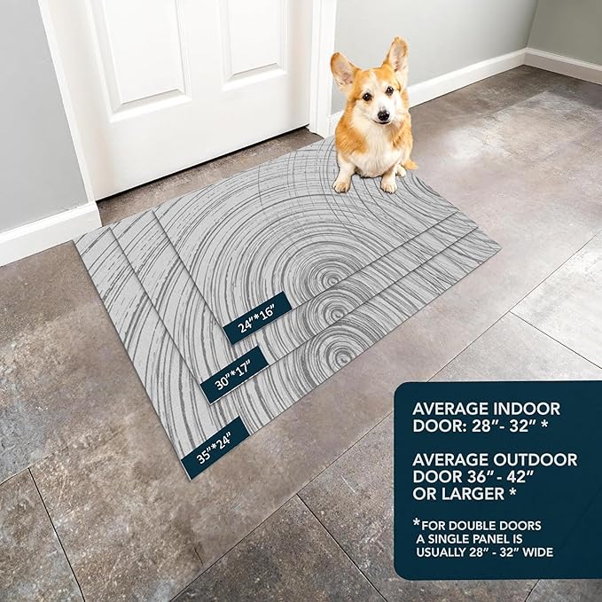 Ultra Thin Door Mat Indoor Entrance, 1/10 in Thin Door Mats for Inside Entry, Non-Slip Rubber Backing Washable Doormat, Fade Resistant, Absorbent, Low Profile Dirt Trapper, 30"X17"