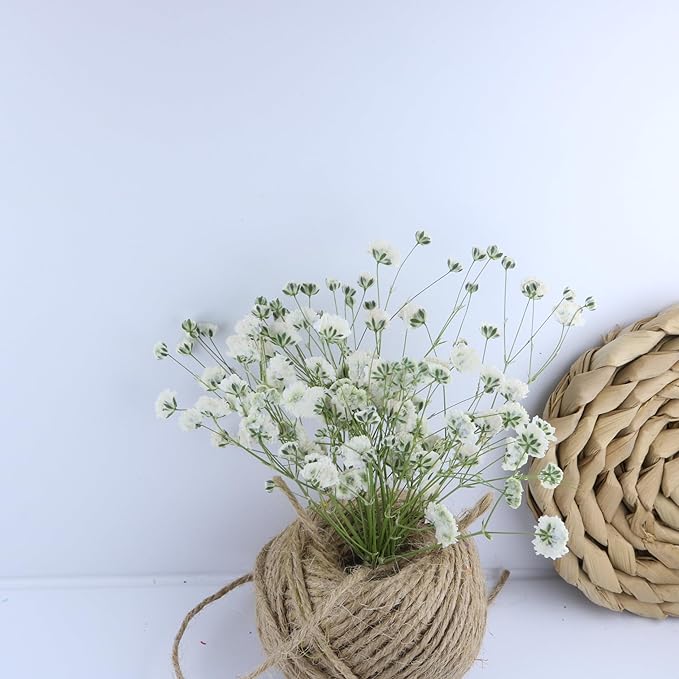 100 Pcs White Natural Baby's Breath Real Dried Pressed Flowers ,for Scrapbooking Supplies Card Making Supplies Resin Jewelry Making Soap and Candle Making.