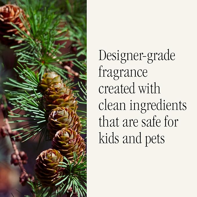 Pura & Simplicity Home Scent Refill - Smart Home Air Diffuser Fragrance - Provides Hours of Luxury Fragrance - Household Essential - Clean & Safe Diffuser - Single Refill, Pine