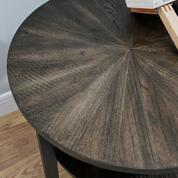 LEEMTORIG Round Side Table, 2-Tier End Table Nightstand with Metal Legs, Modern Bedside Couch Accent Table for Living Room, Bedroom, Office, Rustic Black/Black, 19.3 x 19.3 x 24 inches BZ-1338-BK