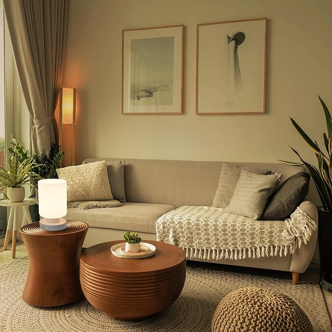 Touch Bedside Lamp, Mini Stepless Dimmable Table Lamps for Bedroom for Night Stands, Small Desk Lamp with Brightness Memory, USB Charging Ports, Warm LED Bulb, White, Cylindrical Shape, 2 Set