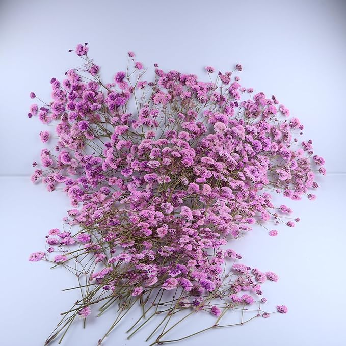 100 Pcs Pink Baby's Breath Real Dried Pressed Flowers.Vacuum-Packed Mini Dried Baby's Breath Flowe Specimen +1 Tweezers, for Resin Art /DIY Making Wedding Card/ Home Party Decor.