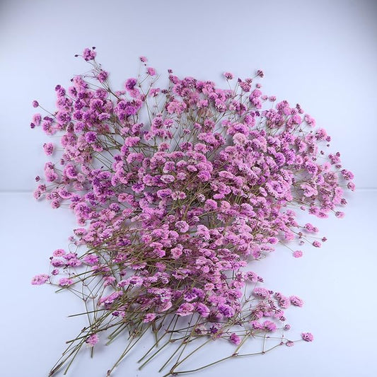 100 Pcs Pink Baby's Breath Real Dried Pressed Flowers.Vacuum-Packed Mini Dried Baby's Breath Flowe Specimen +1 Tweezers, for Resin Art /DIY Making Wedding Card/ Home Party Decor.