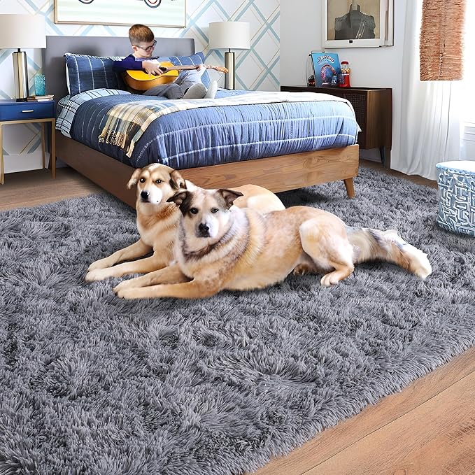 Rugs for Living Room 5x7, Soft Shaggy Modern Shag Area Rug for Bedroom, Upgrade Non-Slip Plush Fluffy Carpet for Kids Boys Girls Room Home Decor Aesthetic, Grey