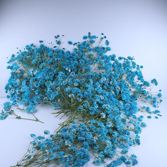 100 Branches Lake Blue Pressed Flowers Bulk Dried Flower Kit for Resin , Dried Babys Breath Flower Natural with Tweezer for Crafts Christmas DIY Gift Scrapbooking Photo Props.